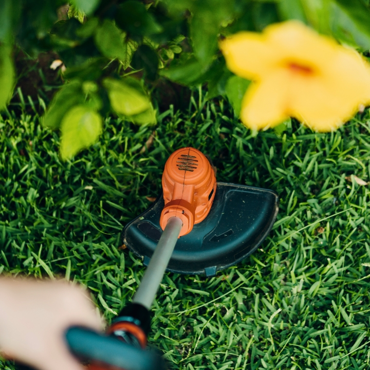 Safe Use of Brushcutters and Trimmers (Novice)